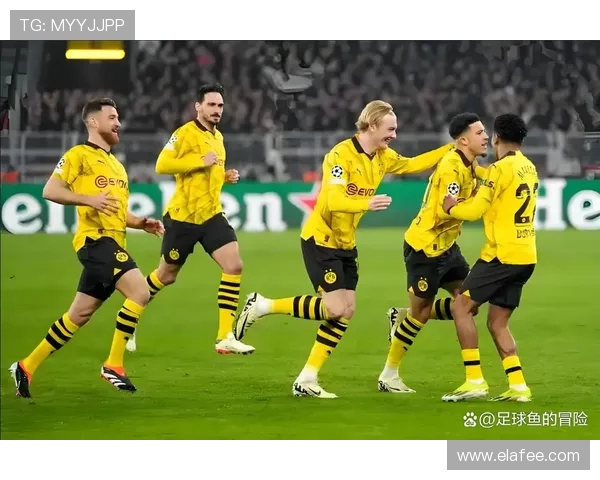 2025年德甲联赛中仅有两支球队的特殊情况分析 2025年德甲联赛中仅有两支球队的特殊情况分析