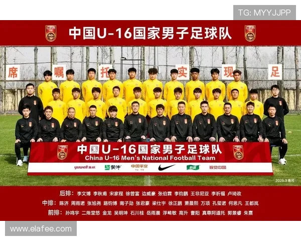 德甲球队最新分类标准及2025赛季应用情况介绍 德甲球队最新分类标准及2025赛季应用情况介绍