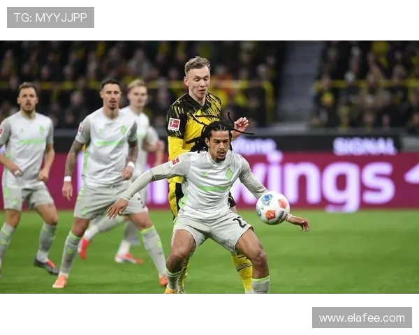 最新德甲球队积分榜公布，谁将领跑2025赛季？