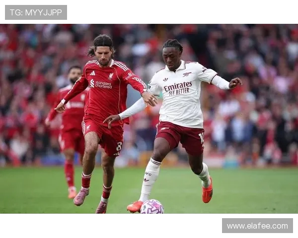 英超利物浦球员高清图片集及球队阵容介绍