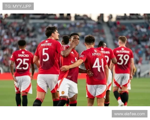 英超球队球迷与专家评价对比与影响力分析